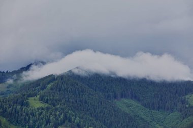 Doğa panorama yeşil orman dağ sis bulutu seyahat turizm çevre