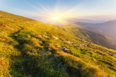 Dağlardaki güzel yaz manzarası.