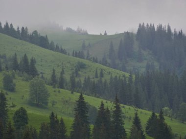 doğa panorama yeşil orman dağ sis bulutu seyahat