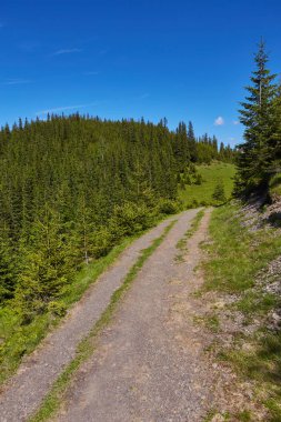 Bileşik manzara. çit Dağları'nda yamaç çayır üzerinde çapraz road yakınındaki.