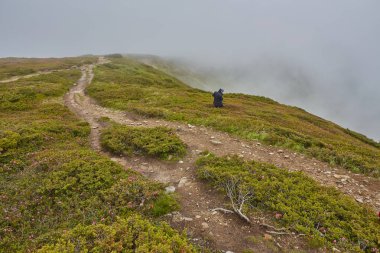 Bileşik manzara. çit Dağları'nda yamaç çayır üzerinde çapraz road yakınındaki.