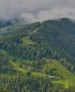 bulutlu bir günde ormanlık haddeleme tepede. Dağlık kırsal toplayan güzel doğa.