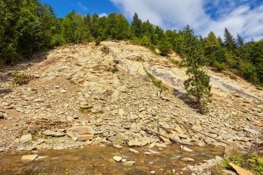 nehir dağ orman derin içinde.