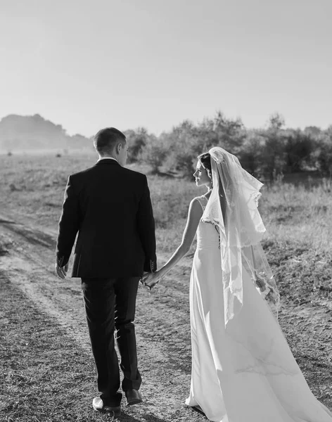 Braut und Bräutigam gehen Hand in Hand durchs Feld — Stockfoto