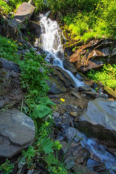 Bonito hermoso arroyo de montaña — Foto de Stock