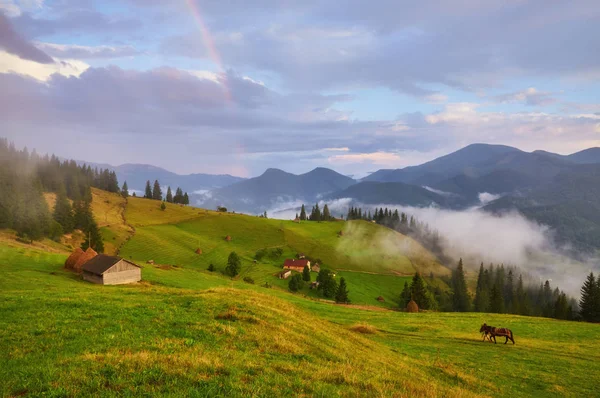 Krajina s mlhou v horách a řadami stromů — Stock fotografie