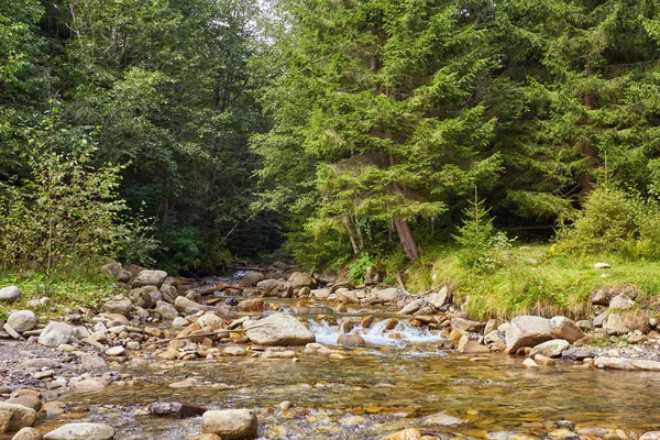 Řeka hluboko v horském lese. — Stock fotografie