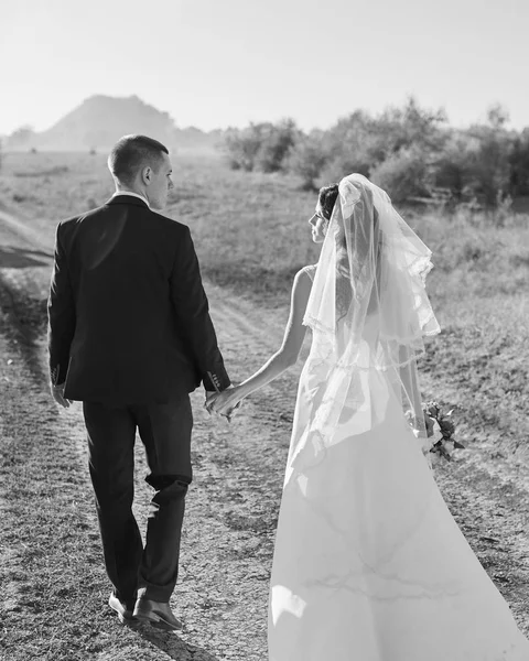 Braut und Bräutigam gehen Hand in Hand durchs Feld — Stockfoto