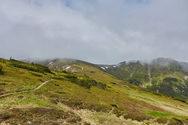 Erdős gördülő hill felhős. hegyvidéki táj gyönyörű természeti táj. — Stock Fotó