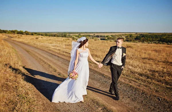 A menyasszony és a vőlegény kéz a kézben mennek át a mezőn. — Stock Fotó