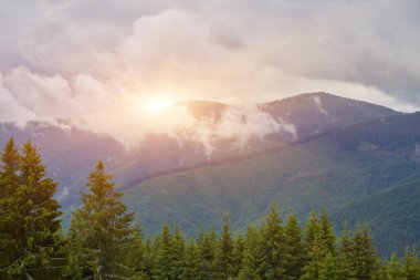 Dağ doruklarına sis manzara peyzaj