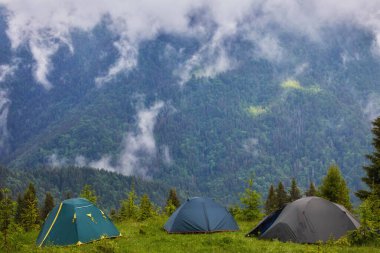 Dağlardaki ormanda kamp ve çadırlar.
