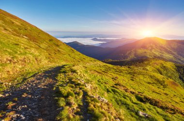Dağ yolu pınarı manzarayı kaplıyor.