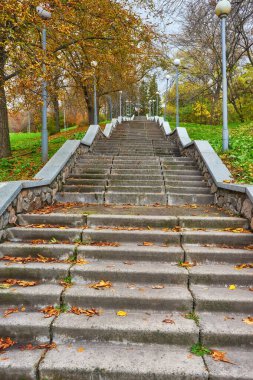 Düşen portakal yapraklarıyla dolu, sarmal bir merdiven.