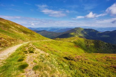 Dağ yolu pınarı manzarayı kaplıyor.