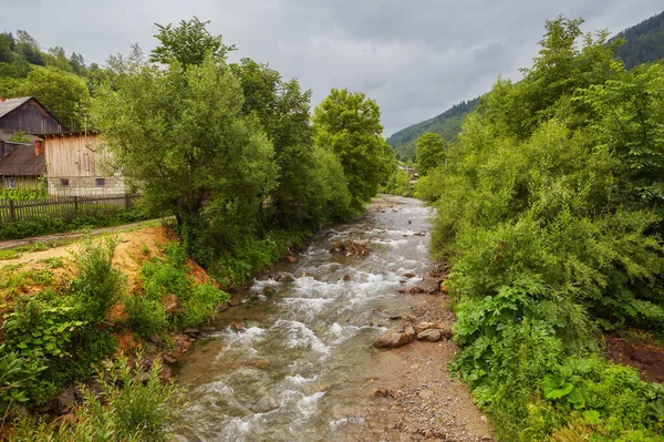 아름다운 산악 강. 카르파티아 산맥의 관광. 우크라이나 서부. — 스톡 사진