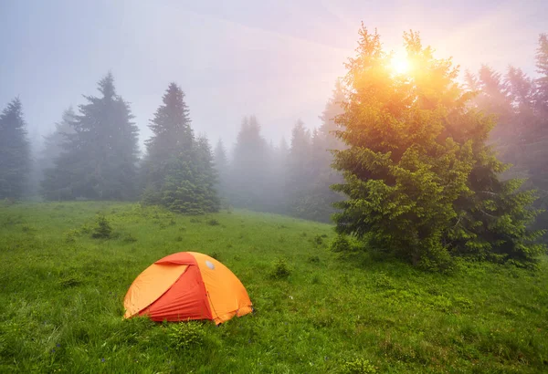 Acampar e tendas na floresta nas montanhas — Fotografia de Stock