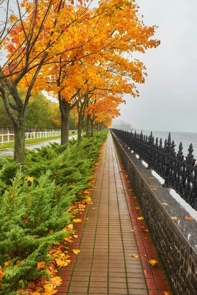 autumn park, rainy background, autumn landscape background rain