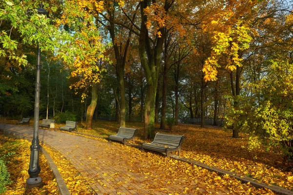 Park mit Bank auf Gasse im Herbst — Stockfoto