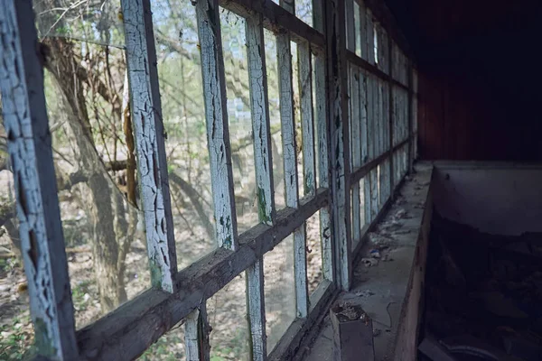 Verlassenes Haus mit Wildpflanzen überwuchert — Stockfoto