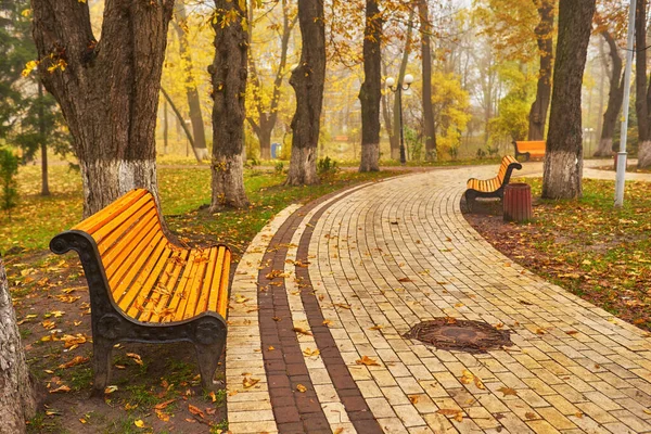 Park mit Bank auf Gasse im Herbst — Stockfoto