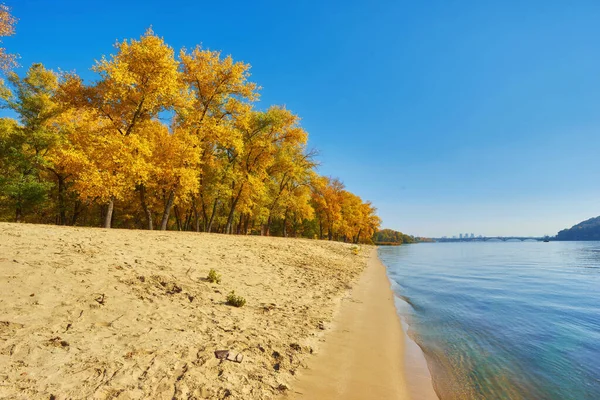 Herfstbomen bij de rivier, bladeren op zand. — Stockfoto