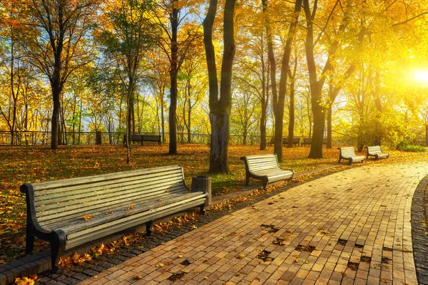 Parque con banco en el callejón en otoño —  Fotos de Stock