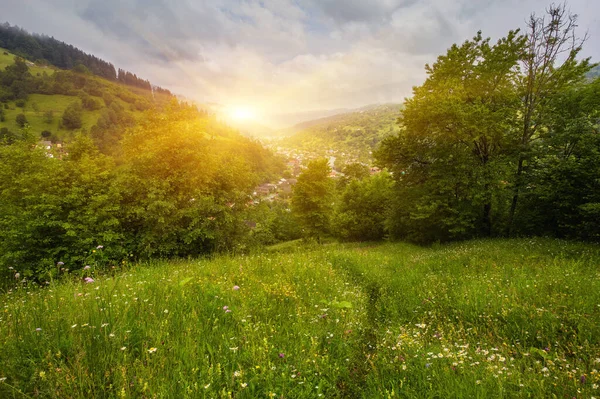 Панорамный вид на красивый пейзаж в Альпах со свежими зелеными лугами и цветущими цветами и заснеженными горными вершинами на заднем плане в солнечный день с голубым небом и облаками — стоковое фото