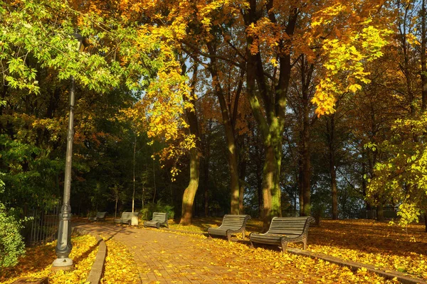 Park z ławką na alejce jesienią — Zdjęcie stockowe