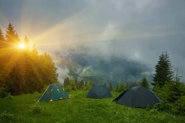 Camping and tents in the forest in the mountains — Stock Photo, Image