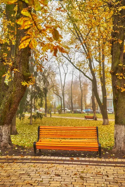 Ławka jesienna z kolorowymi liśćmi i drzewami. — Zdjęcie stockowe