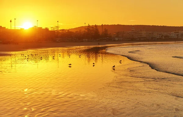 Belo pôr do sol na praia com reflexos de água, gaivotas na areia e moinhos de vento no fundo — Fotografia de Stock