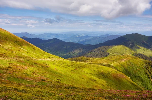 Hermosa vista del tranquilo paisaje alpino con verdes prados, árboles, nubes oscuras y bajas en las montañas en el fondo en un día soleado de verano . —  Fotos de Stock