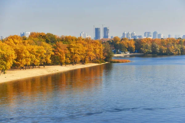 Осенние деревья у реки, листья на песке . — стоковое фото