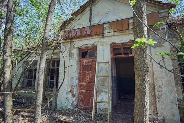 Покинутий будинок, вирощений з дикими рослинами — стокове фото