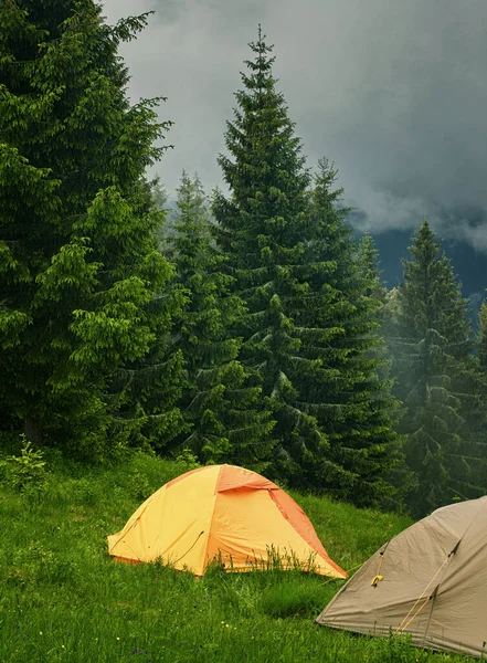 Dağlardaki ormanda kamp ve çadırlar. — Stok fotoğraf