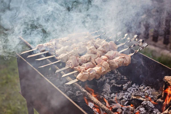 Cuisson shashlik sur le mangal — Photo