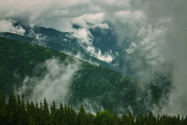 Pics de montagne dans le paysage de brouillard — Photo