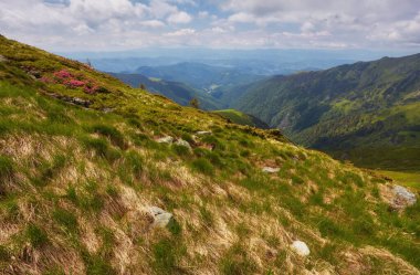 Yeşil çayırlar, ağaçlar, güneşli bir yaz gününde arka planda dağlarda kara alçak bulutlar olan sakin alp manzarasının güzel manzarası..
