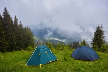 Dağlardaki ormanda kamp ve çadırlar.