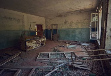 Terk edilmiş ev yabani bitkilerle dolu.