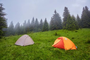 Dağlardaki ormanda kamp ve çadırlar.