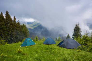 Dağlardaki ormanda kamp ve çadırlar.