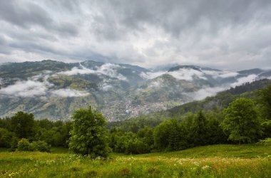 Önde yeşil bir tarla, sisli dağlarda