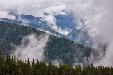 Dağ doruklarına sis manzara peyzaj