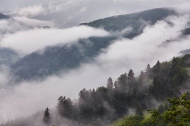 Batı Avrupa 'nın dağlık arazisi ve dağlık köyleri, yağmurdan sonra sisli denizde yıkanan tepenin zeminine karşı.