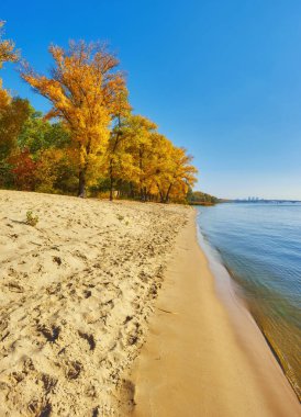 Nehir kenarındaki sonbahar ağaçları, kumdaki yapraklar.
