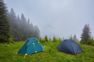 Dağlardaki ormanda kamp ve çadırlar.