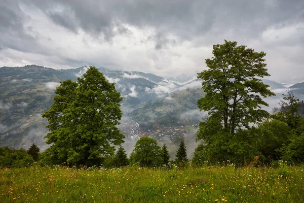 Zelené pole vepředu, mlhavé hory — Stock fotografie