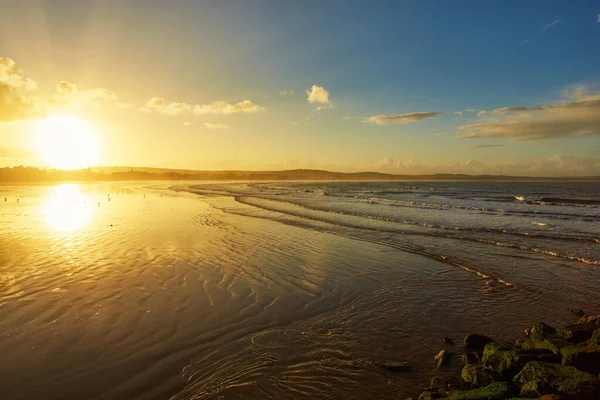 Bellissimo tramonto sulla spiaggia con riflessi d'acqua, gabbiani sulla sabbia e mulini a vento sullo sfondo — Foto Stock